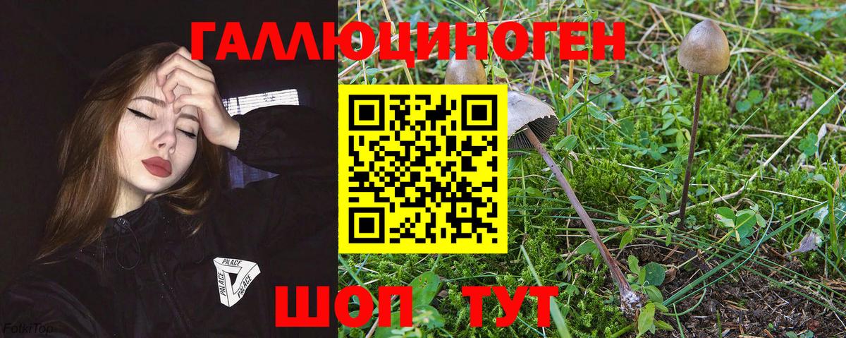 Губаха  Галлюциногенные грибы мухоморы  Вход с VPN 