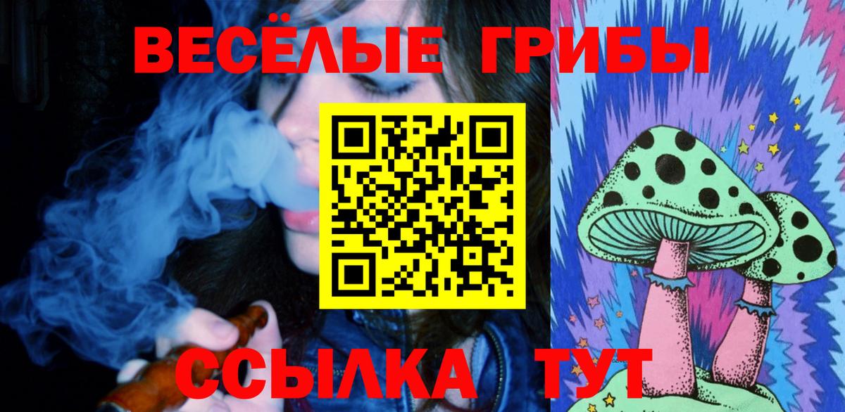 Галлюциногенные грибы Magic Shrooms Губаха